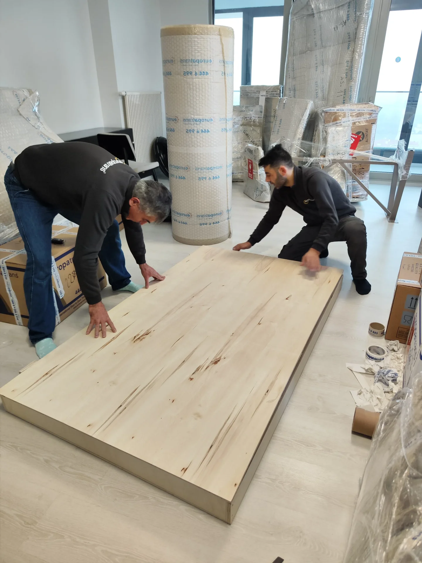 Profesyonel taşıma ekibi